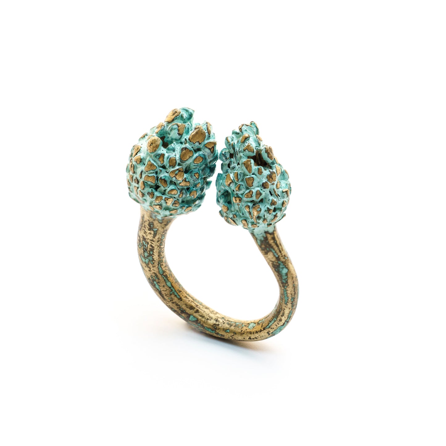Allium Cepa Ring