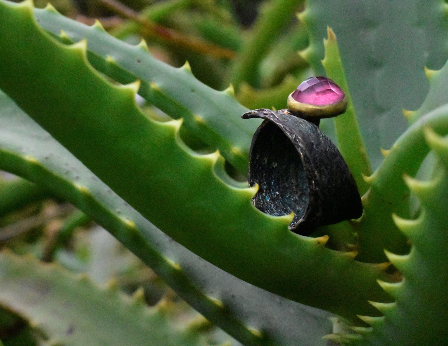 Aloe Ring