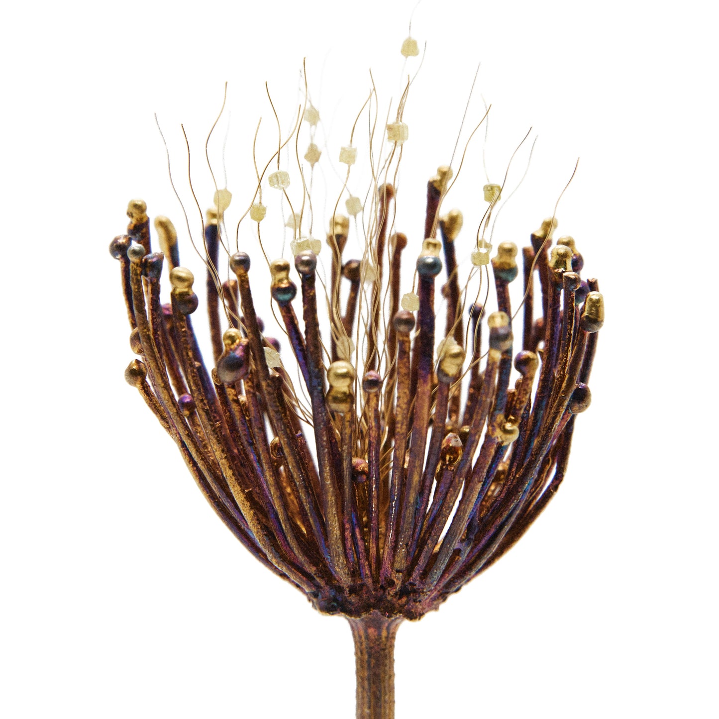 Handmade Daucus Carota Brooch in Gold and Silver with Raw Diamonds - Unique One-of-a-Kind Jewelry Inspired by Chania, Crete's Natural Beauty