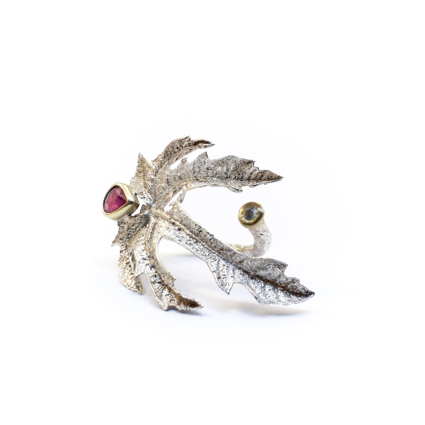 Fig Ring