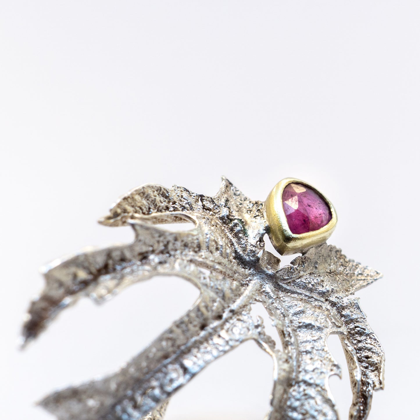Fig Ring