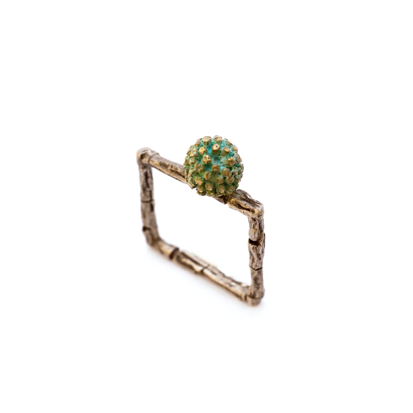 Acacia & Cupressus Branch Ring