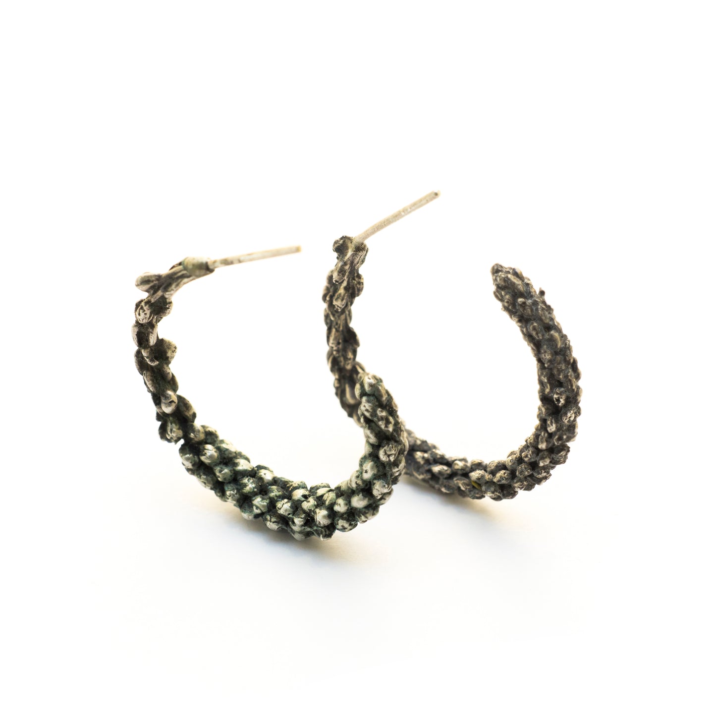 Araucaria Earrings
