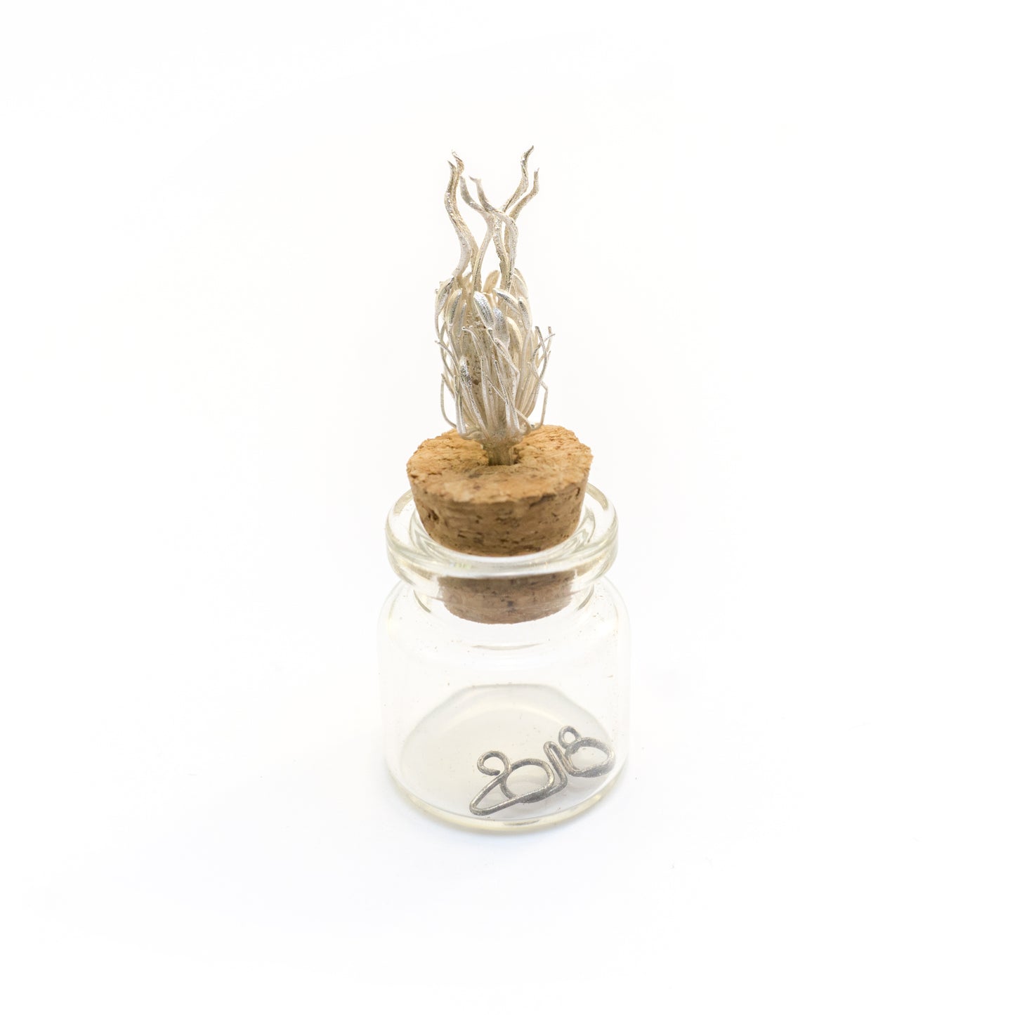 Nigella Object