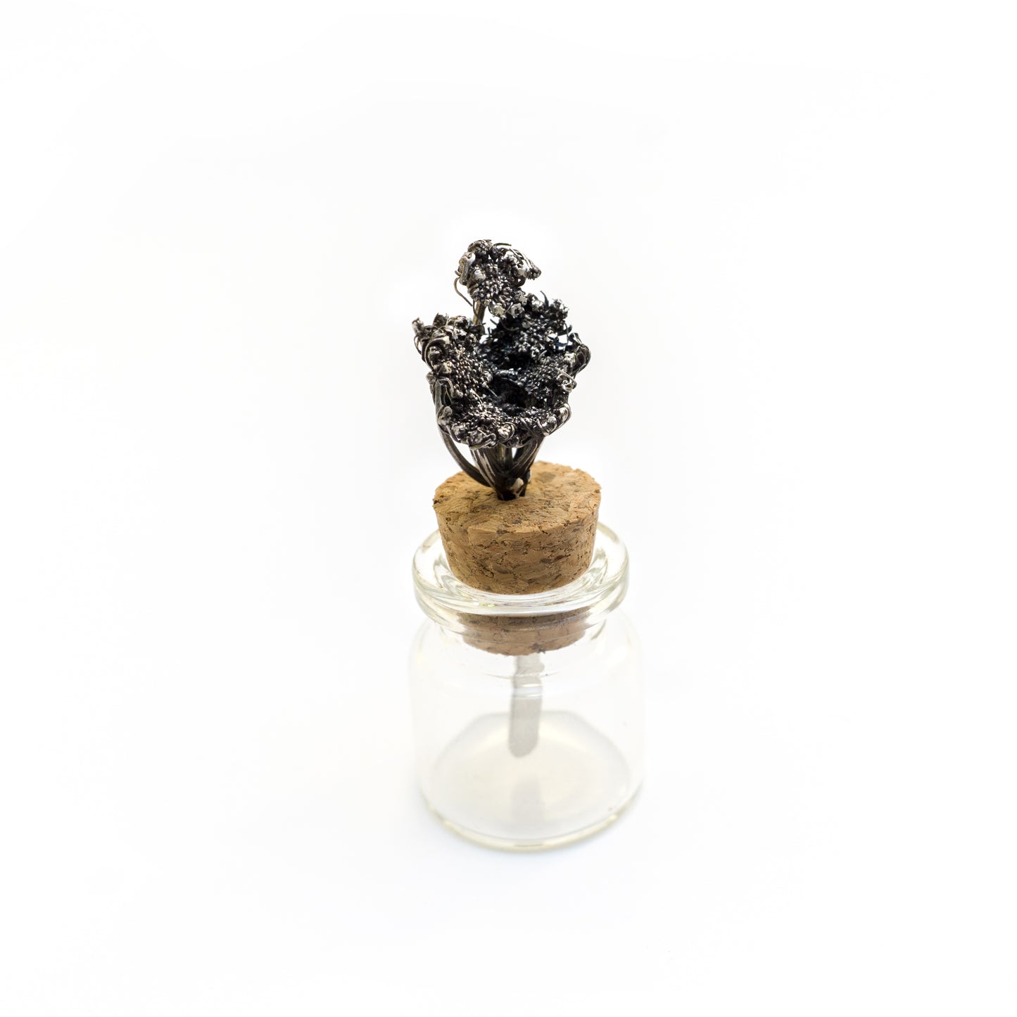 Samphire Object
