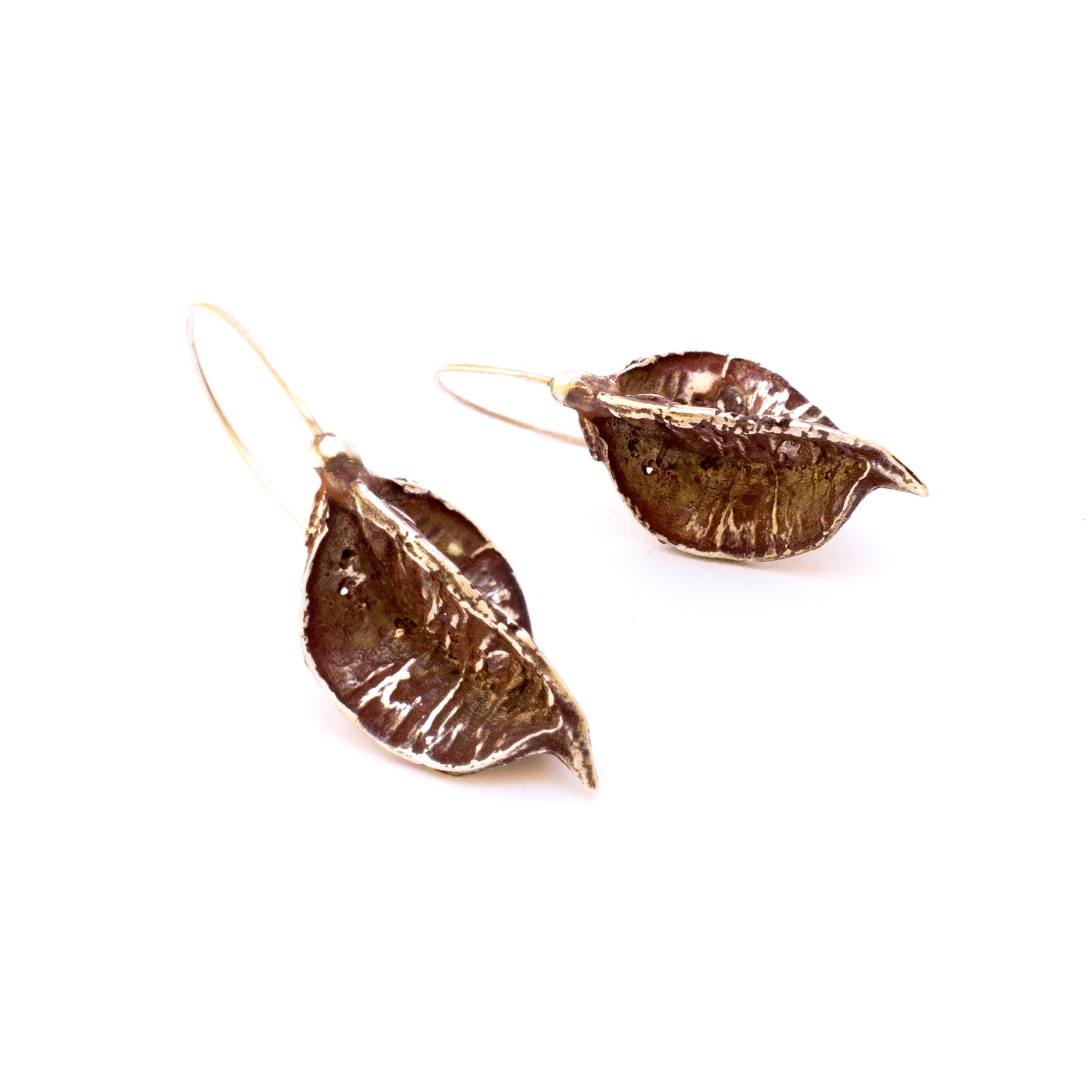 Pittosporum Picolor Earrings