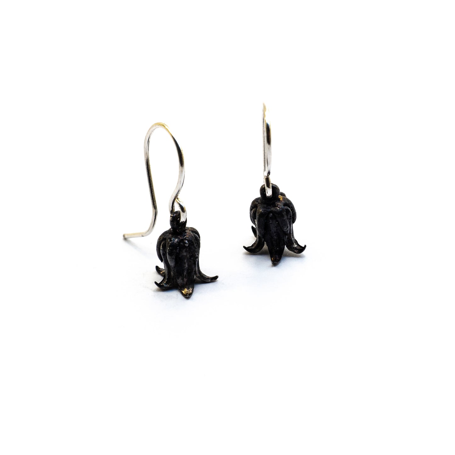 Rosularia Serrata Earrings