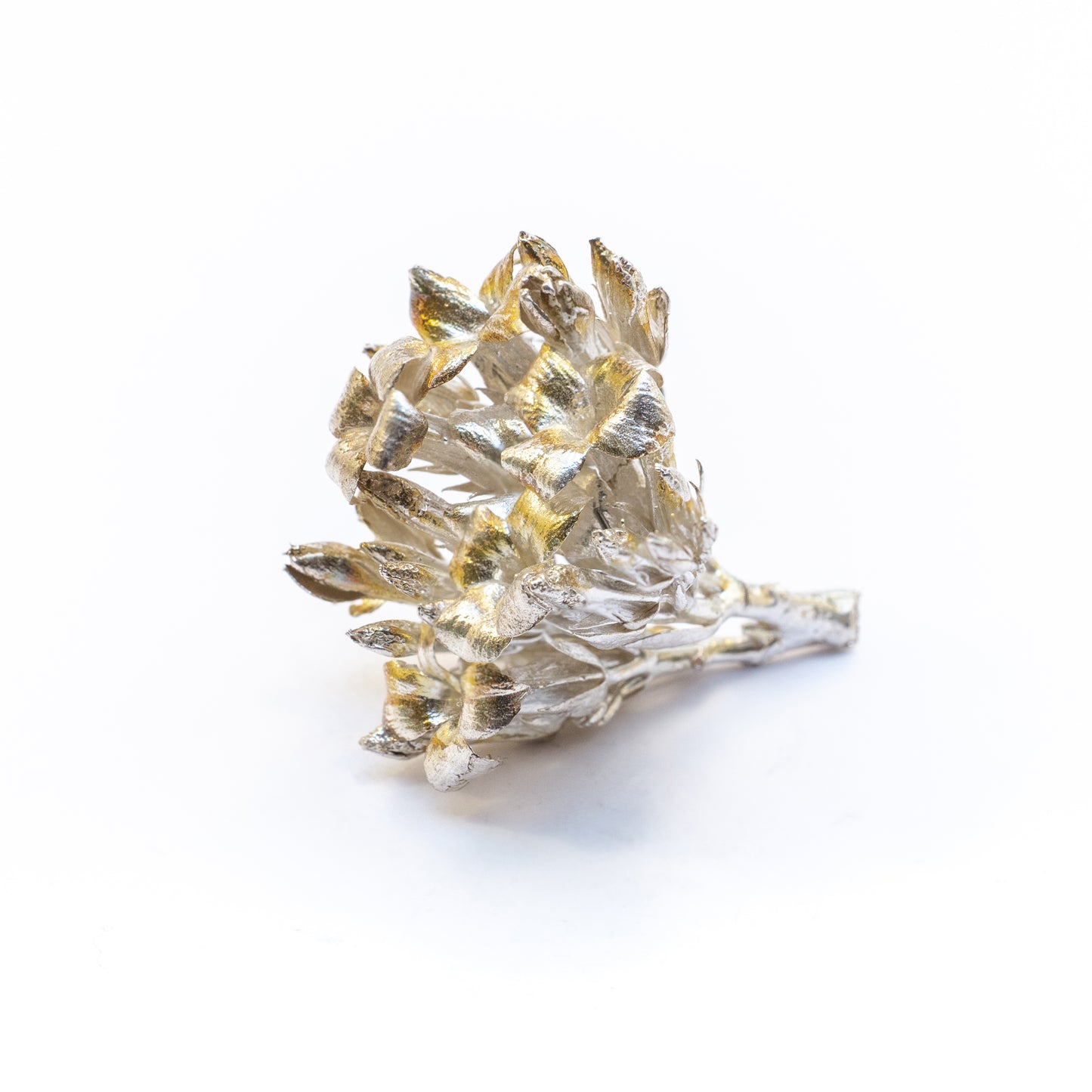 Kalanchoe Brooch