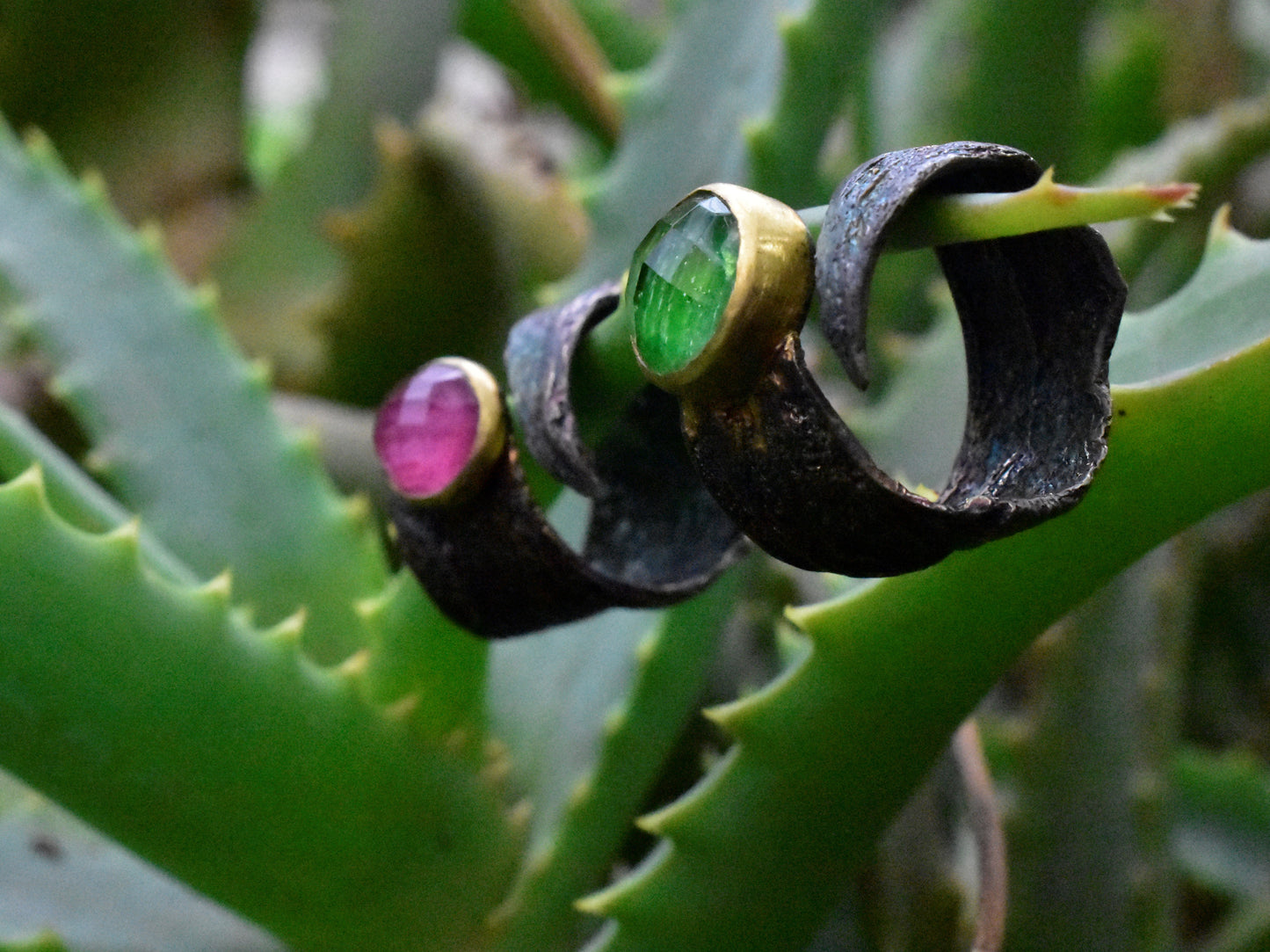 Aloe Ring