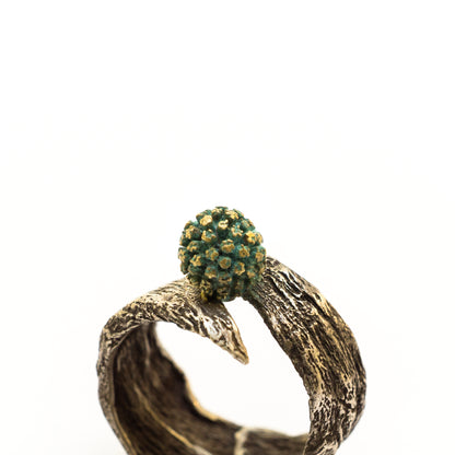 Acacia & Aloe Ring