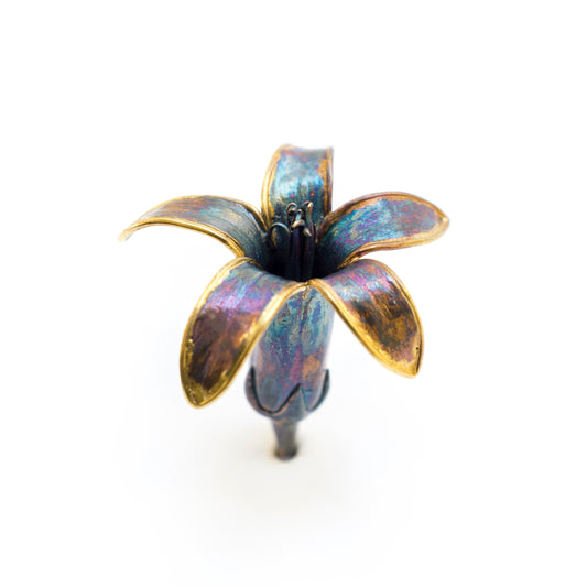 Bryophyllum Delagoense Brooch