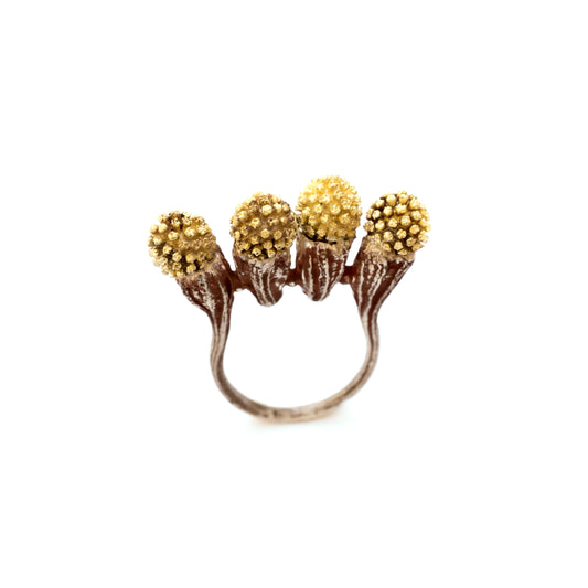 Acacia & Calendula Ring