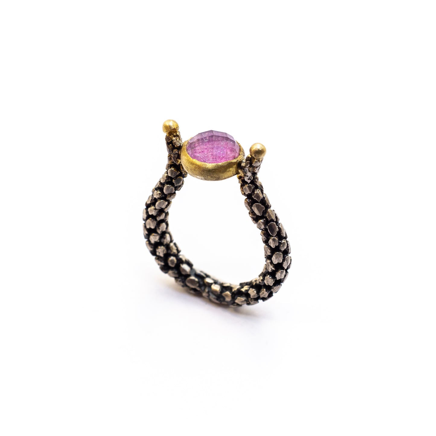 Araucaria Ring