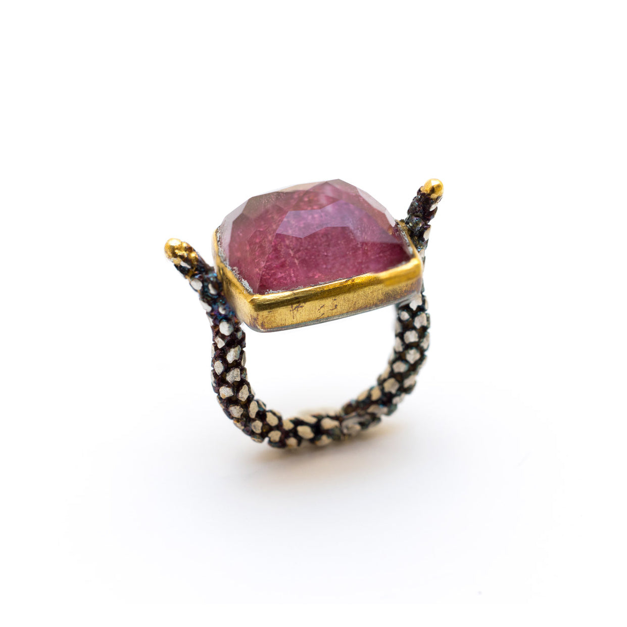 Araucaria Ring