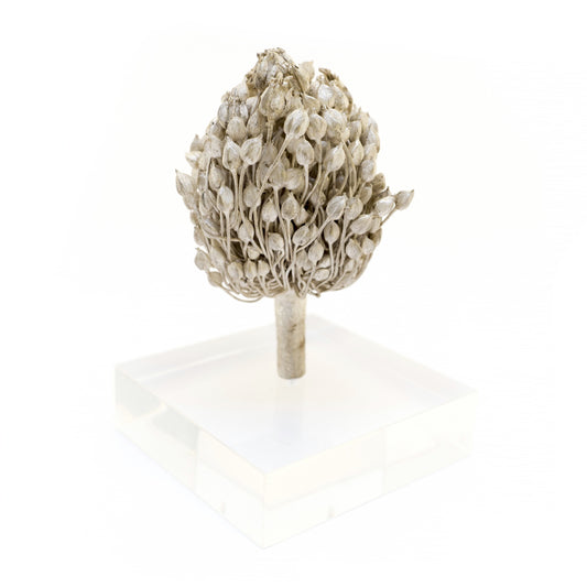 Allium Cepa Object - sifisjewellery Chaniajewellery Flowerjewellery Chania Flowerjewelery Flowersproducts