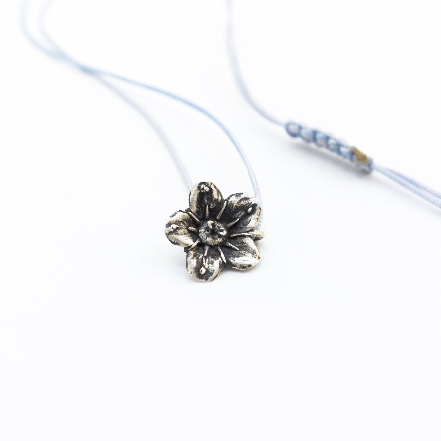 Ecballium Elaterium Pendant